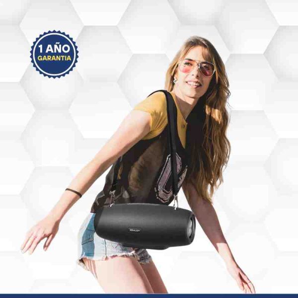 Altavoz portátil + 2 micrófonos </br><strong>BS09M</strong> - Image 2